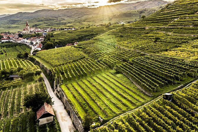 3 Castles & Wine Private Tour in Wachau Valley (incl. Melk Abbey) - Melk Abbey and the final grand view