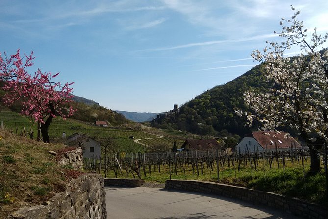 3-Hour Private Hiking Tour to historic places around Spitz in Wachau Valley - Hinterhaus Castle is the day’s big reward