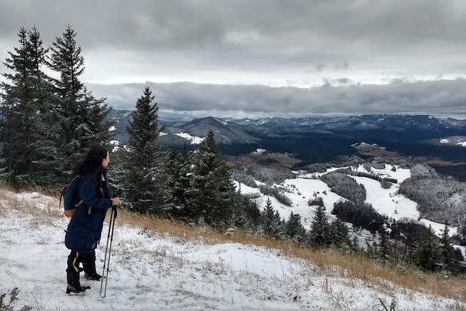 4-Hour Private Alpine Great George at High Wall Mountain from Vienna - Key points to know before booking