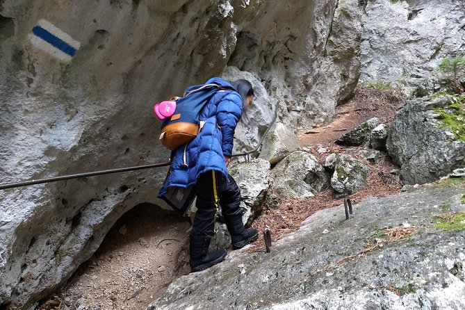 4-Hour Private Alpine Great George at High Wall Mountain from Vienna - Why the rear side of Hohe Wand is worth your day