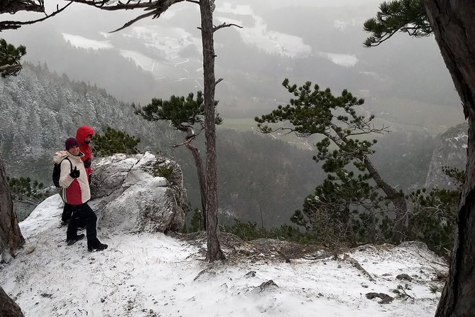 4-Hour Private Alpine Great George at High Wall Mountain from Vienna - Ladders, steep ground, and the small cave