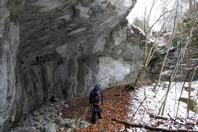 4-Hour Private Alpine Great George at High Wall Mountain from Vienna - What Michael adds to the experience