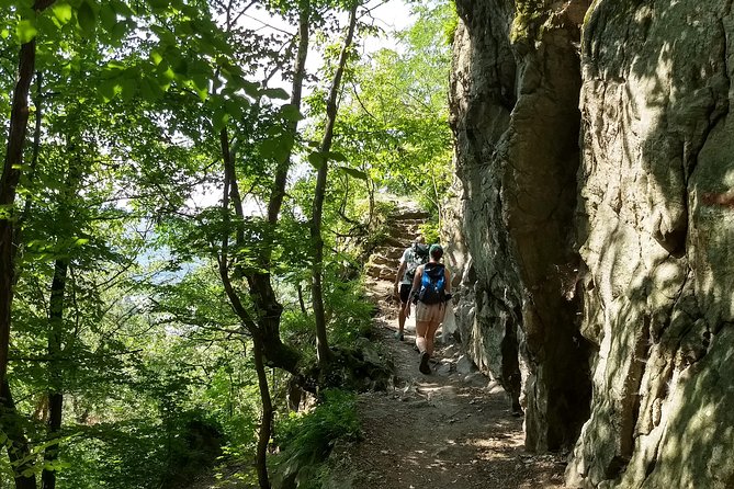 4-Hour Private Alpine Hiking Tour 'In the footsteps of king Lionheart' - How hard is the hike?