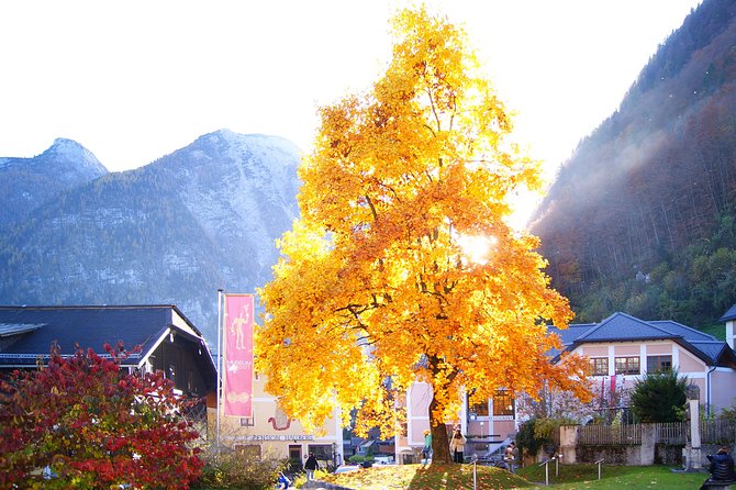 Alpine Hallstatt Day Trip from Vienna incl. Admont Abbey Visit - The Skywalk, salt mines, and the limits of free time