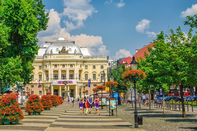 Bratislava Small-Group Day Trip from Vienna with Walk & Lunch - Arriving at Most SNP and finding the guide