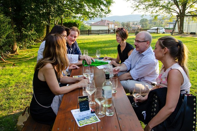 Countryside Half Day Wine Tour near Vienna - Key points before you book