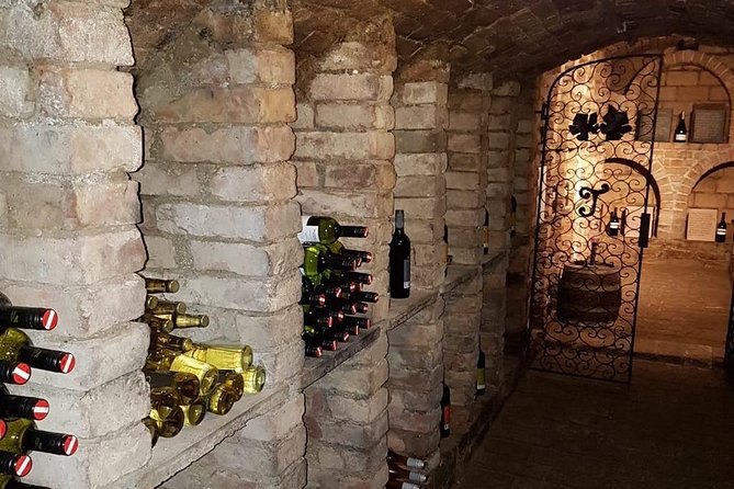 Countryside Half Day Wine Tour near Vienna - What Weinviertel wines taste like