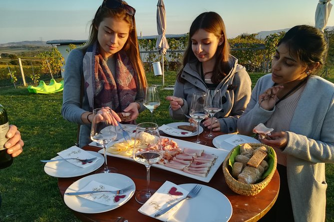 Countryside Half Day Wine Tour near Vienna - Meeting the winemakers, not just sampling wine