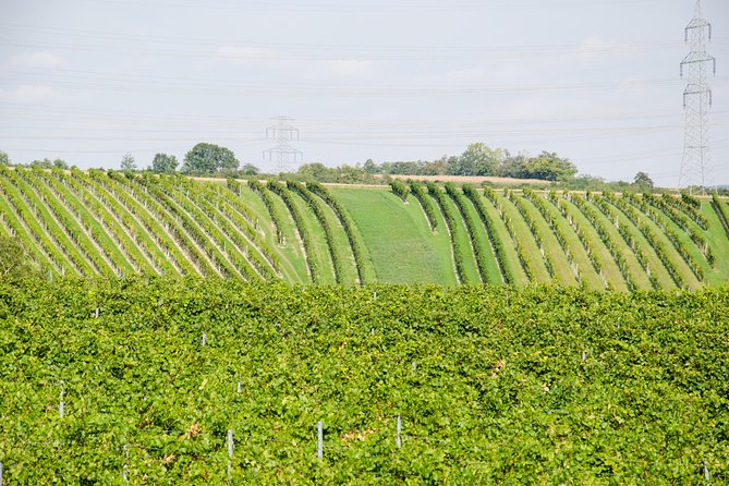 Countryside Half Day Wine Tour near Vienna - Austrian lunch or dinner at the final winery