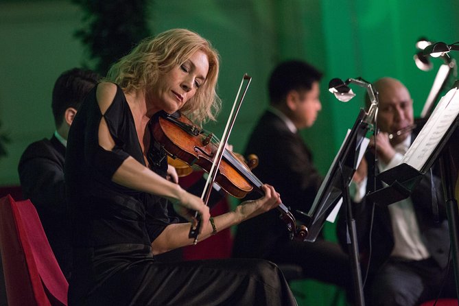 Exclusive Evening at Schönbrunn Palace: After-Hours Audiotour, Dinner, Concert - Dinner near the palace, with mixed results