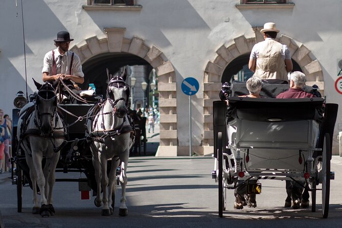 Exclusive Vienna Old Town Highlights Walking Tour (max. 6 persons) - Albertinaplatz and the first meeting point