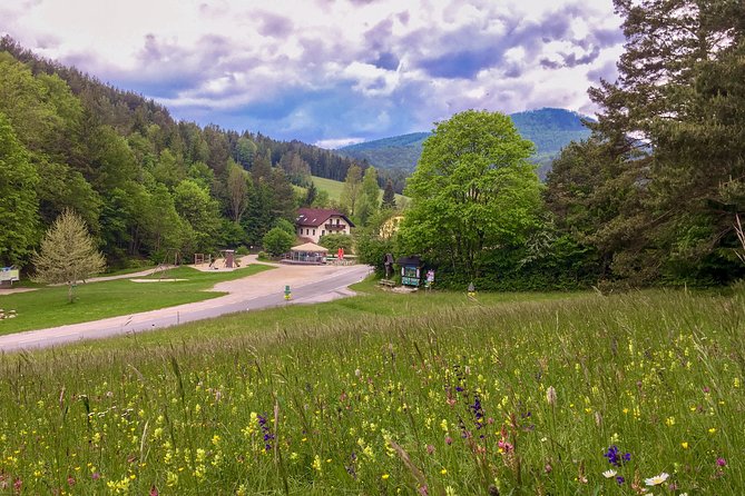 Exploring the Gutenstein Alps - Wooden bridges and a cave at Steinwandklamm