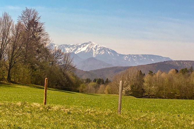 Exploring the Gutenstein Alps - Forest paths, waterfalls, and the steep climb