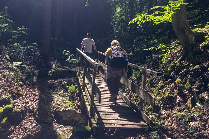 Exploring the Gutenstein Alps - Gear, fitness, and weather concerns