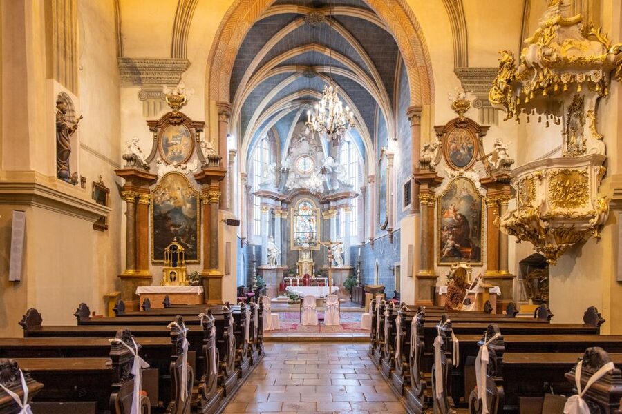 From Vienna: Bratislava Day Trip - Three hours to eat, browse, and set your own agenda