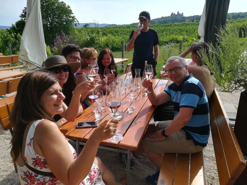 From Vienna: Half-day Countryside Wine Tour with Meal - The final stop combines wine with an Austrian meal