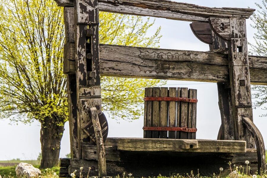 From Vienna: Half-day Countryside Wine Tour with Meal - Eight glasses or twelve, and what that means