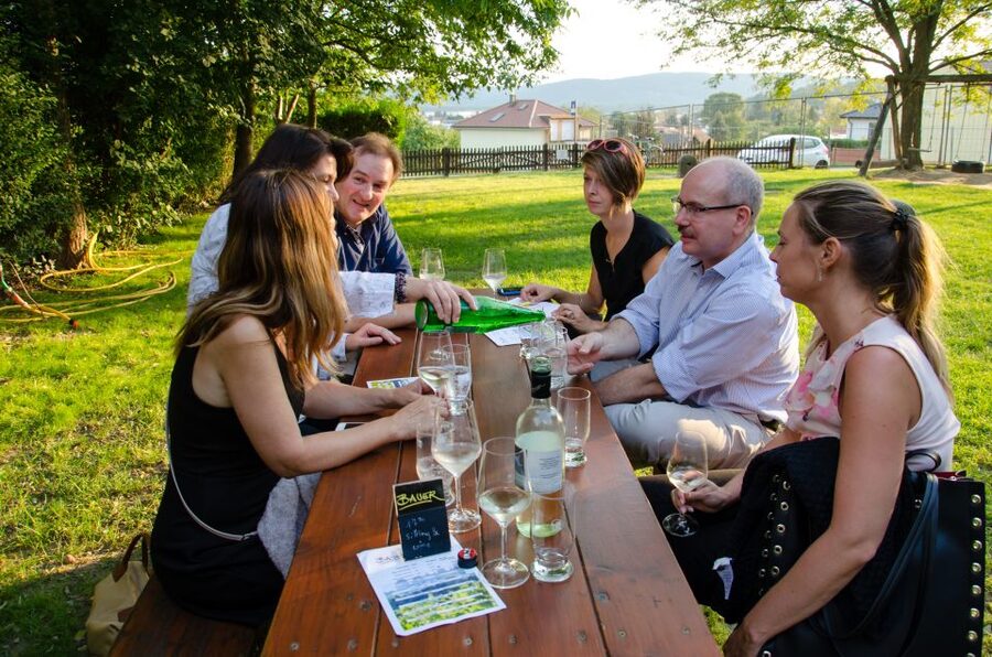 From Vienna: Half-day Countryside Wine Tour with Meal - Guides make the difference