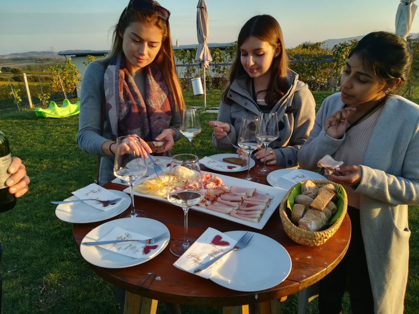 From Vienna: Half-day Countryside Wine Tour with Meal - Should you book it?