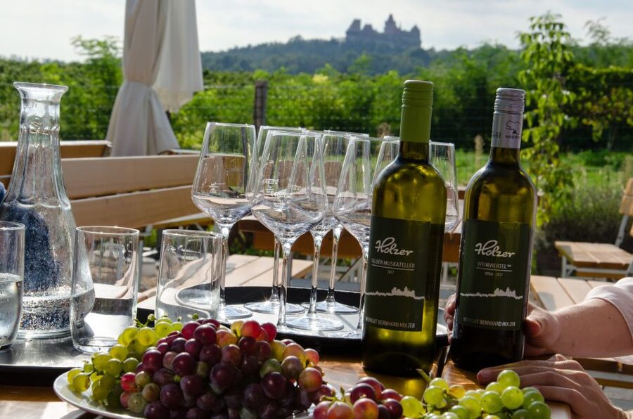 From Vienna: Half-day Countryside Wine Tour with Meal - Second winery: more tasting, more local character