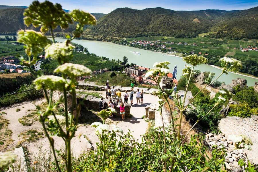 From Vienna: Wachau Valley Day Tour with Wine Tasting - Melk Abbey and the seasonal change