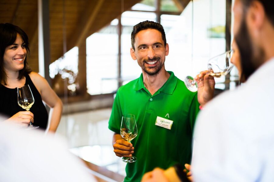 From Vienna: Wachau Valley Day Tour with Wine Tasting - What $234 buys you