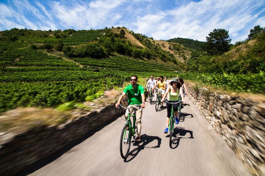 Grape Grazing: Wachau Valley Winery Biking Tour - Wine tasting in Dürnstein and beyond