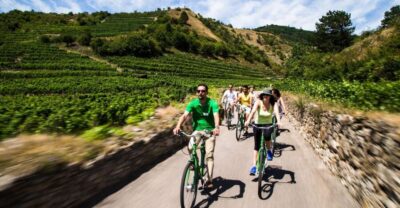 Grape Grazing: Wachau Valley Winery Biking Tour
