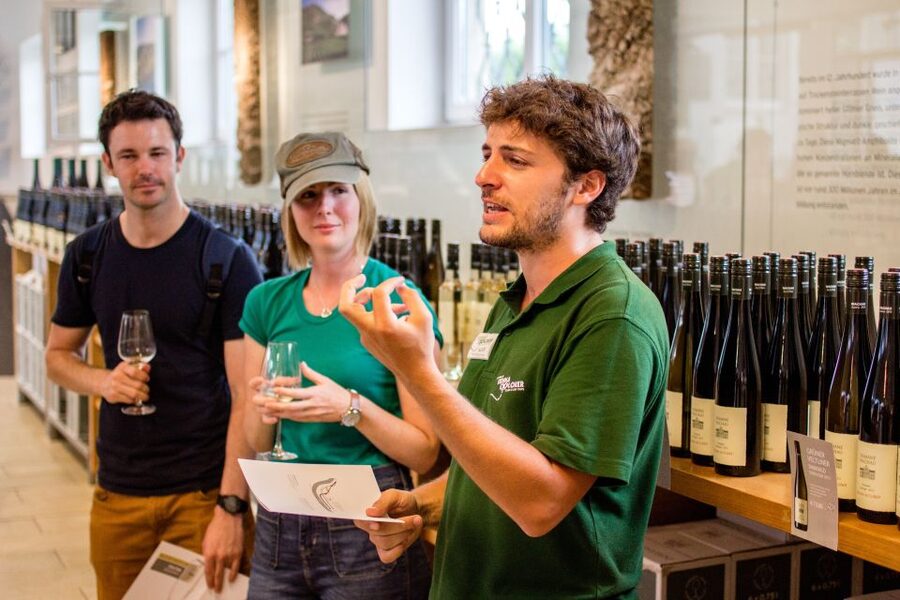 Grape Grazing: Wachau Valley Winery Biking Tour - The return ride and train to Vienna
