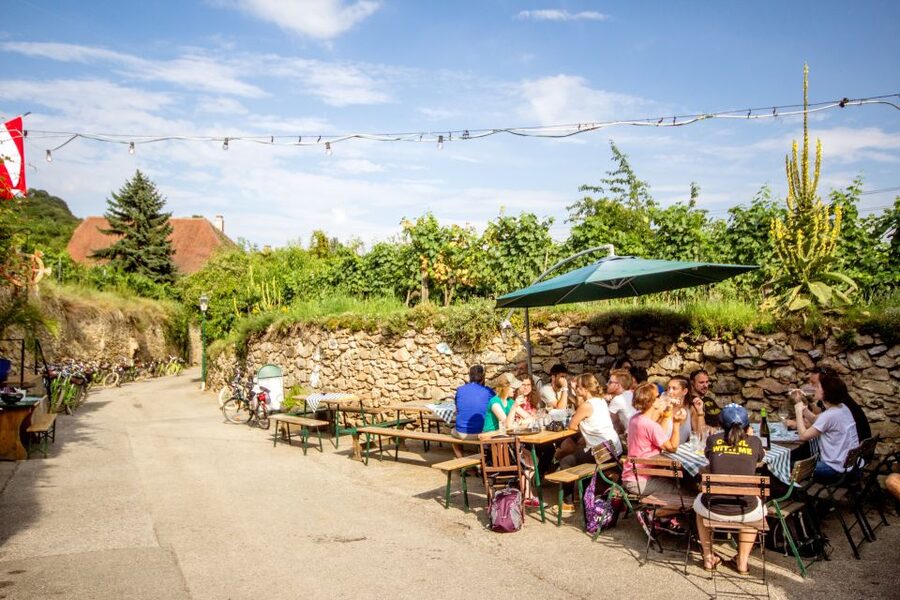Grape Grazing: Wachau Valley Winery Biking Tour - Who will enjoy this tour most