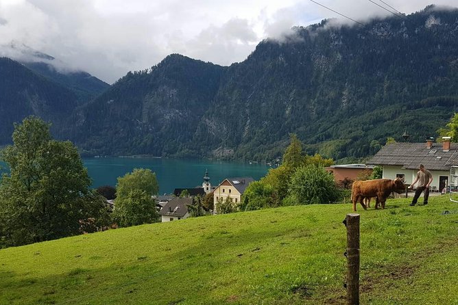 Hallstatt Small-Group Day Trip from Vienna - The long ride home and the quality of the driver