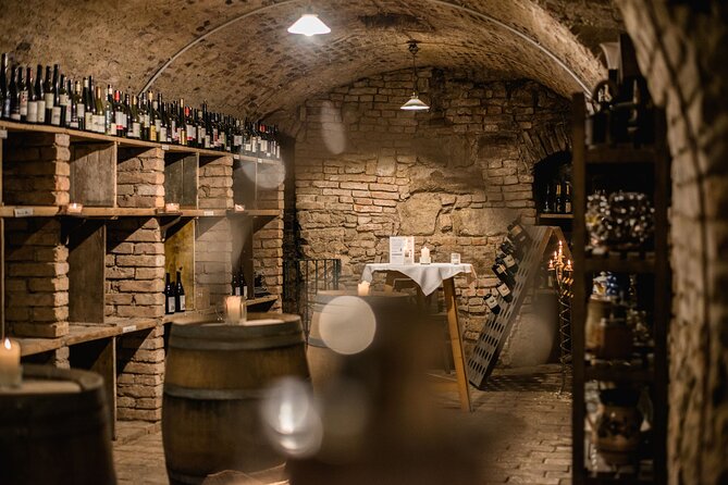 Hidden Wine Cellars Vienna - on the tracks of the Viennese wines - Why Vienna’s cellars are the real attraction