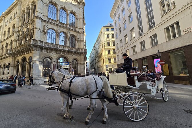Highlights of Vienna in a Historical & Cultural 3h Walking Tour - Graben, plague memory, and Viennese treats