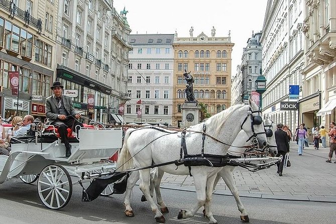Hofburg Imperial Palace and Sisi Museum Skip the line tour - Should you book this Hofburg and Sisi tour?