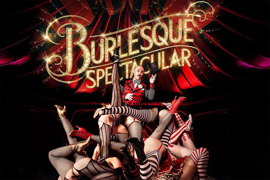Mirage Vienna: Burlesque Spectacular – Dinner Show - Burlesque, acrobatics, and the live band