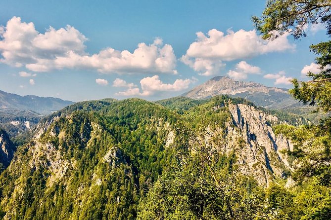 Ötschergräben Grand Canyon of Austria - Returning through the shady forest