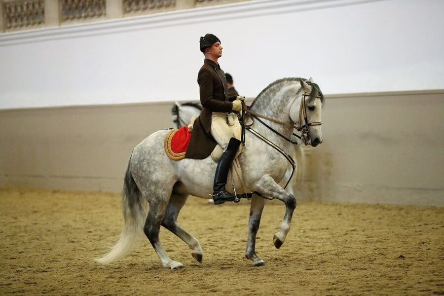 Performance Of The Lipizzans At Spanish Riding School - Inside Vienna’s Winter Riding School