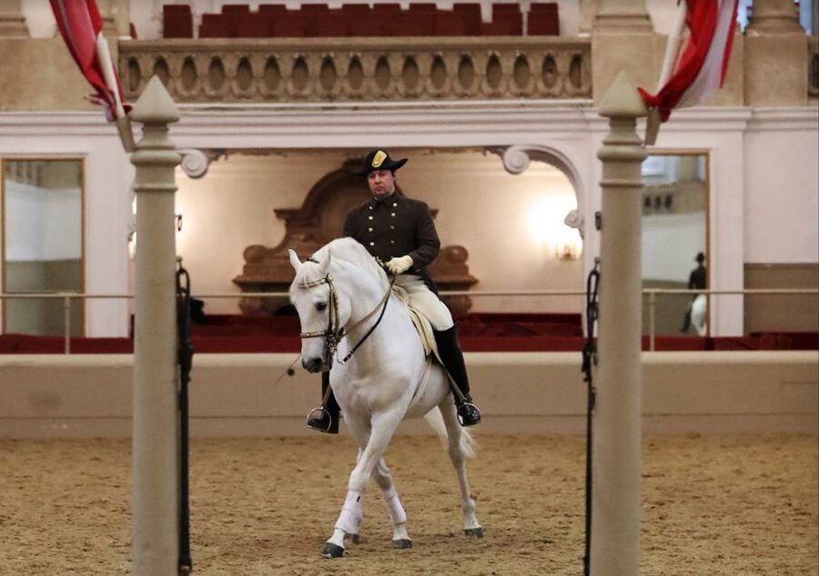 Performance Of The Lipizzans At Spanish Riding School - Is the ticket good value?