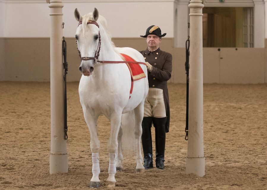 Performance Of The Lipizzans At Spanish Riding School - Who will enjoy this most
