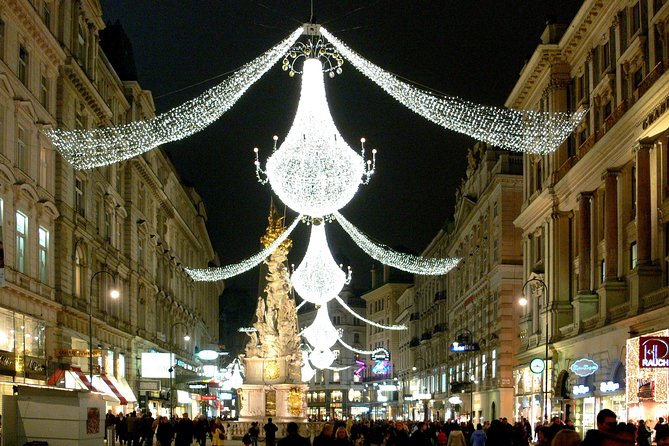 Private Christmas Markets Walking Tour Vienna - City Hall and the grand finale