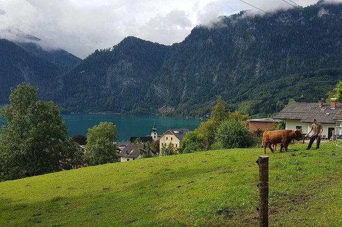 Private Day Trip from Vienna to Hallstatt - Who will get the most from this trip