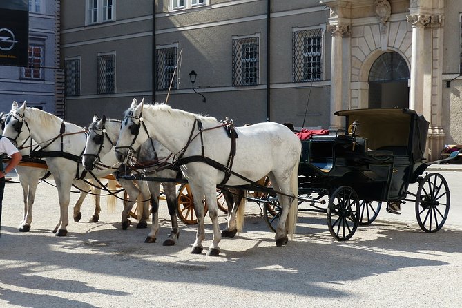 Private full day tour to Salzburg from Vienna with a local guide - St. Peter’s Abbey and the cathedral area