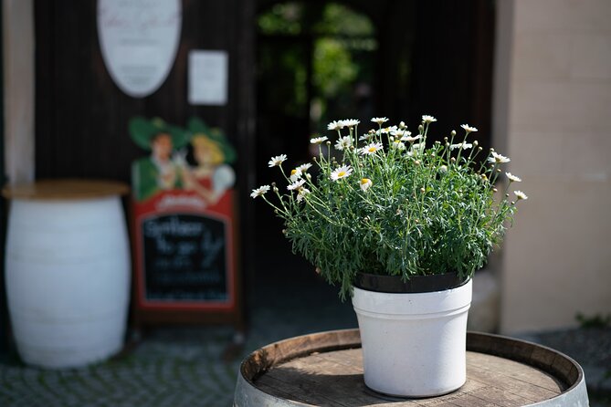 Private Guided Full Day Tour to charming Burgenland region with Wine tasting - Rust and the broad waters of Lake Neusiedler