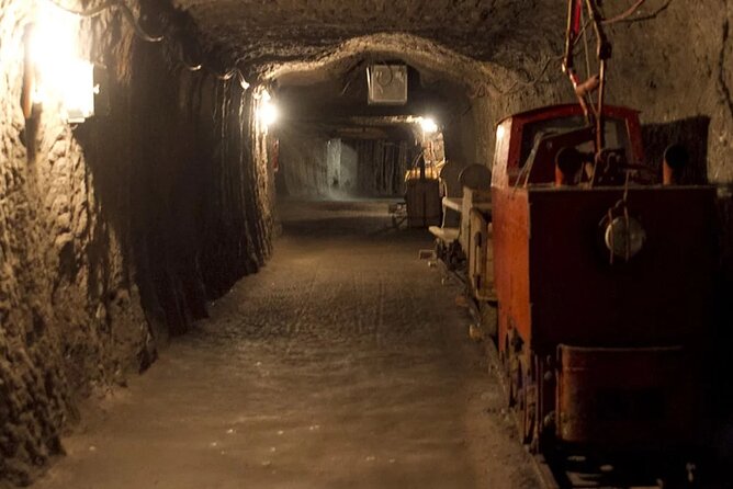 Private guided tour from Vienna to Hallstatt with Skywalk & Salt Mine Experience - What the guides add to the day