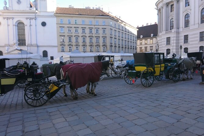Private Transfer from Venice to Vienna or Vienna to Venice - A private ride between two major cities