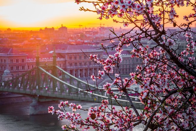 Private Transfer from Vienna to Budapest with 2 hours for sightseeing - What is included and what is not