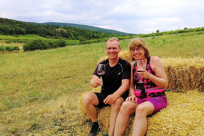 Private Vienna Woods Wine Tour - Is $960.07 a fair private-tour price?