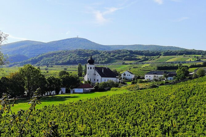 Private Vienna Woods Wine Tour - Summer starts in Beethoven’s Baden