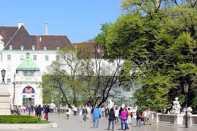 Schmetterlinghaus - Imperial Butterfly House Vienna Admission Ticket - Crowds, photography, and the best time to go