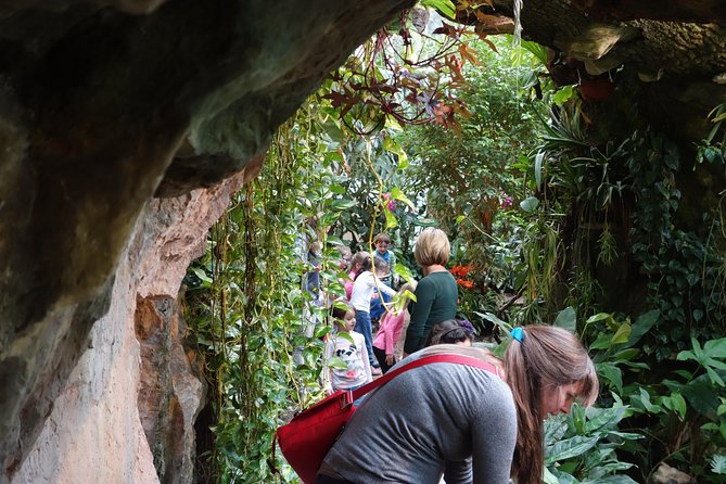 Schmetterlinghaus - Imperial Butterfly House Vienna Admission Ticket - Families, older visitors, and access concerns